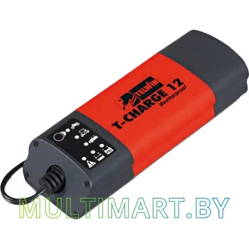 Зарядное устройство Telwin T-Charge 12